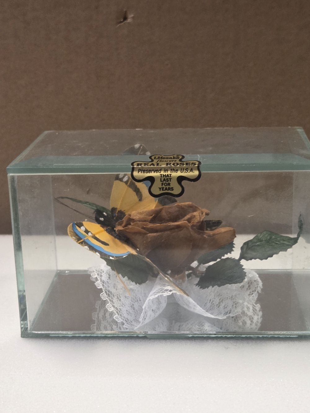 Lifesake Preserved Rose with Yellow Butterfly in Glass Case Vintage 1970